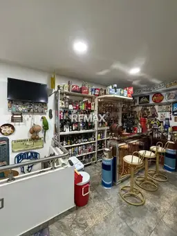 Vista 19
