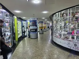 Vista 15