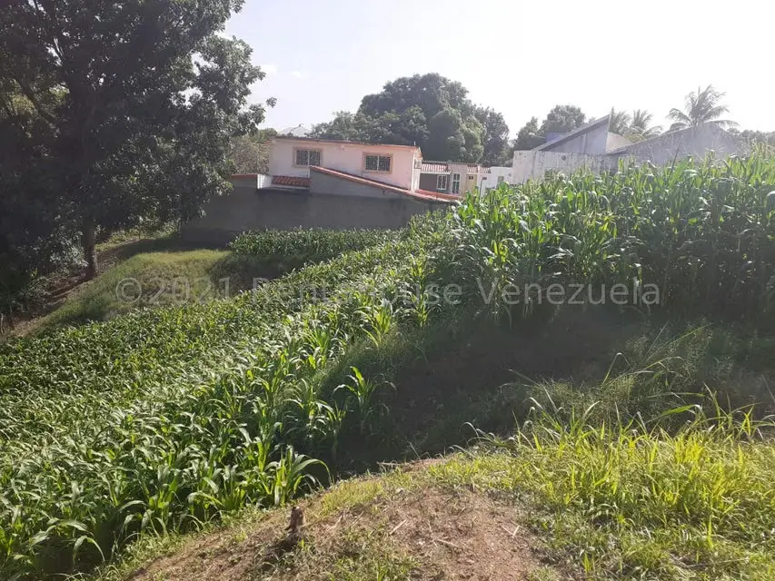 Terreno (Residencial) en Venta en Los Naranjos, Guarico - 3