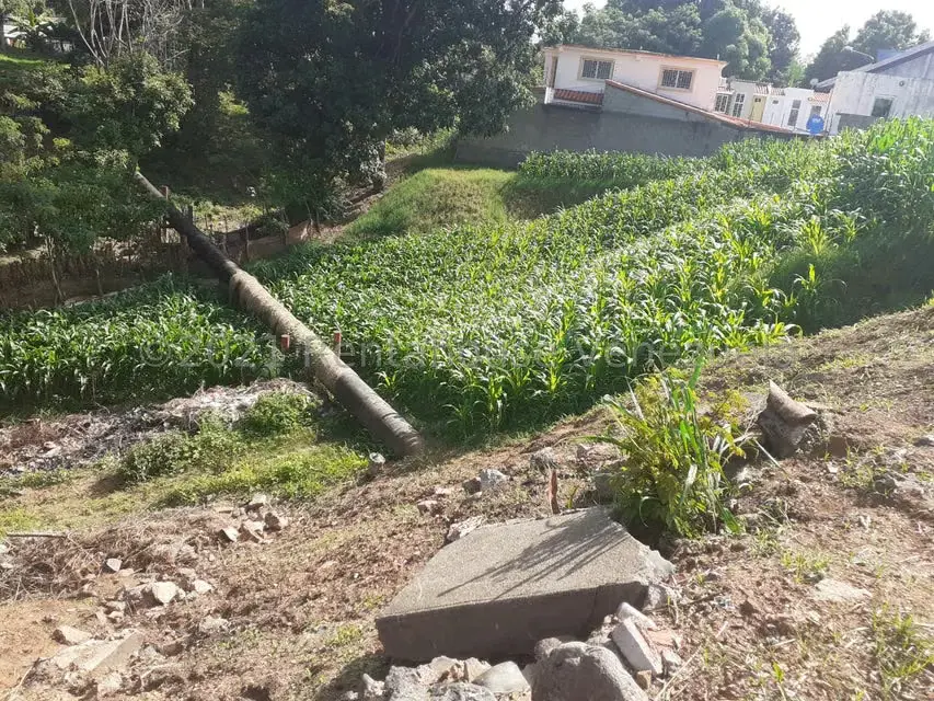 Terreno (Residencial) en Venta en Los Naranjos, Guarico - 4
