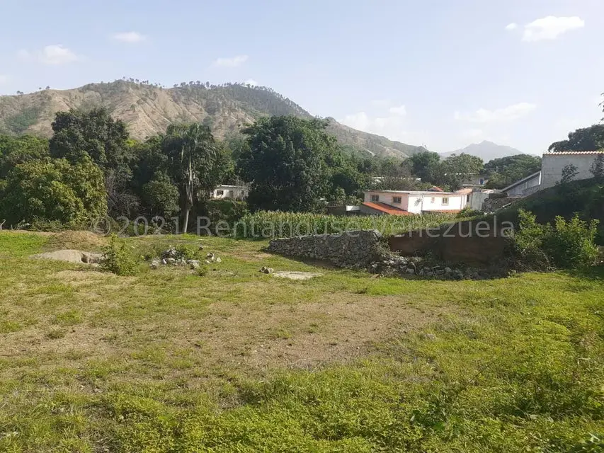 Terreno (Residencial) en Venta en Los Naranjos, Guarico - 9
