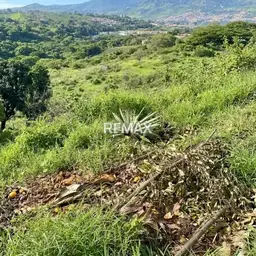View 4