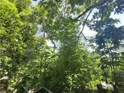 View 11