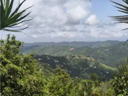 View 8