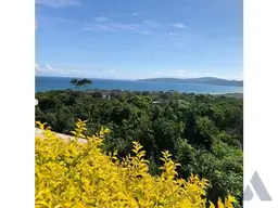View 19