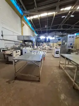 Vista 6