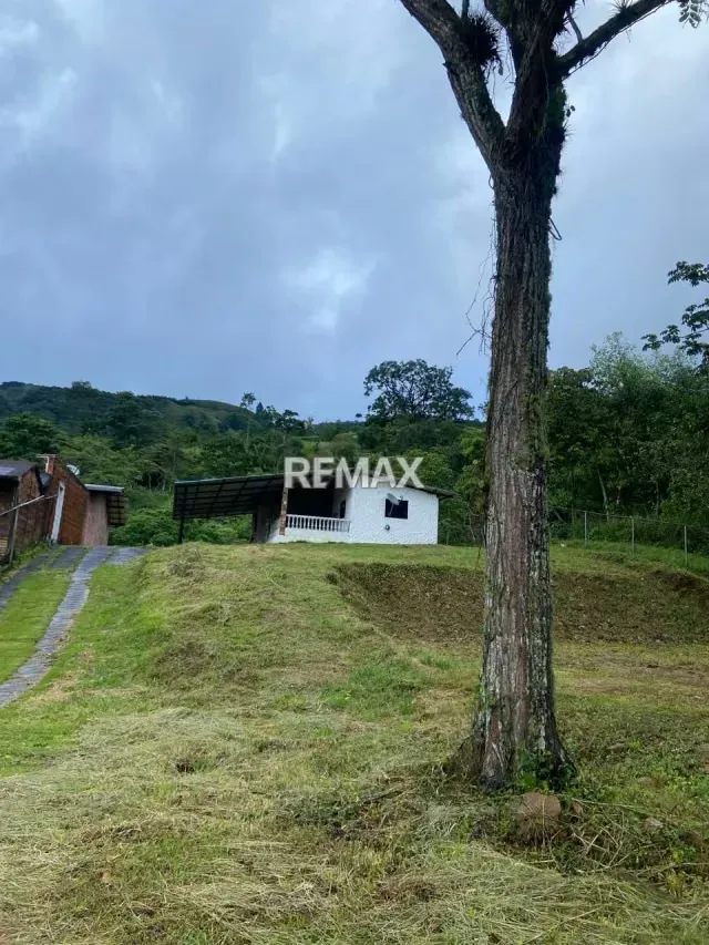 OPORTUNIDAD ÚNICA DE ALQUILER Y NEGOCIO EN CASA DE CAMPO Ubicación: Loma de Pánaga, a solo 20 minutos de San Cristóbal - 5