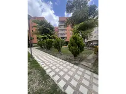 Vista 24