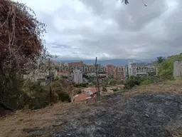 Vista 11