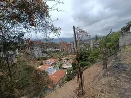 Vista 14