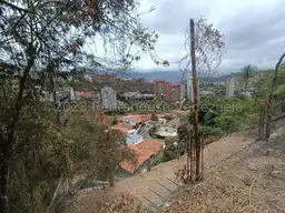 Vista 15