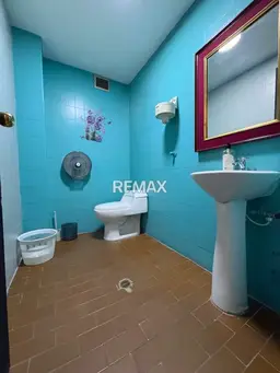 Vista 5