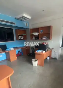 Vista 4