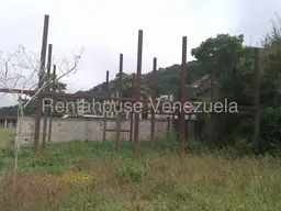 Vista 6