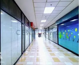 Vista 6