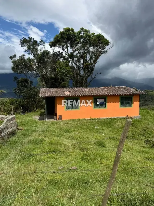 VENTA DE CASA Y TERRENO EN MONTE CARMELO - 3