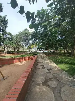 View 16