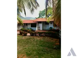 Vista 11