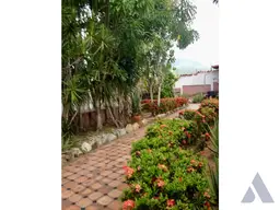 Vista 4