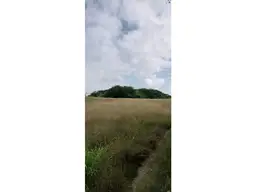 View 11
