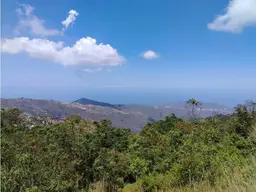 View 12