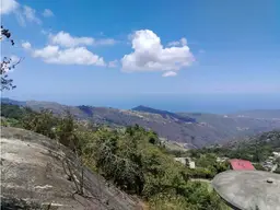View 14