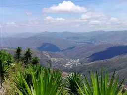 View 2