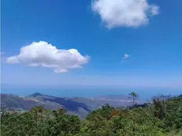 View 21