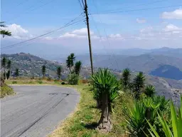 View 22