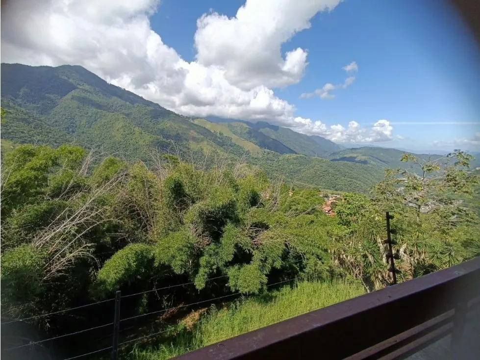 Venta Apartamento Urbanización Miranda 150 Mts - 16