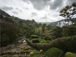 View 23