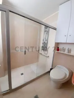 Vista 15