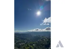 View 25