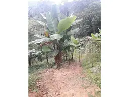 View 12