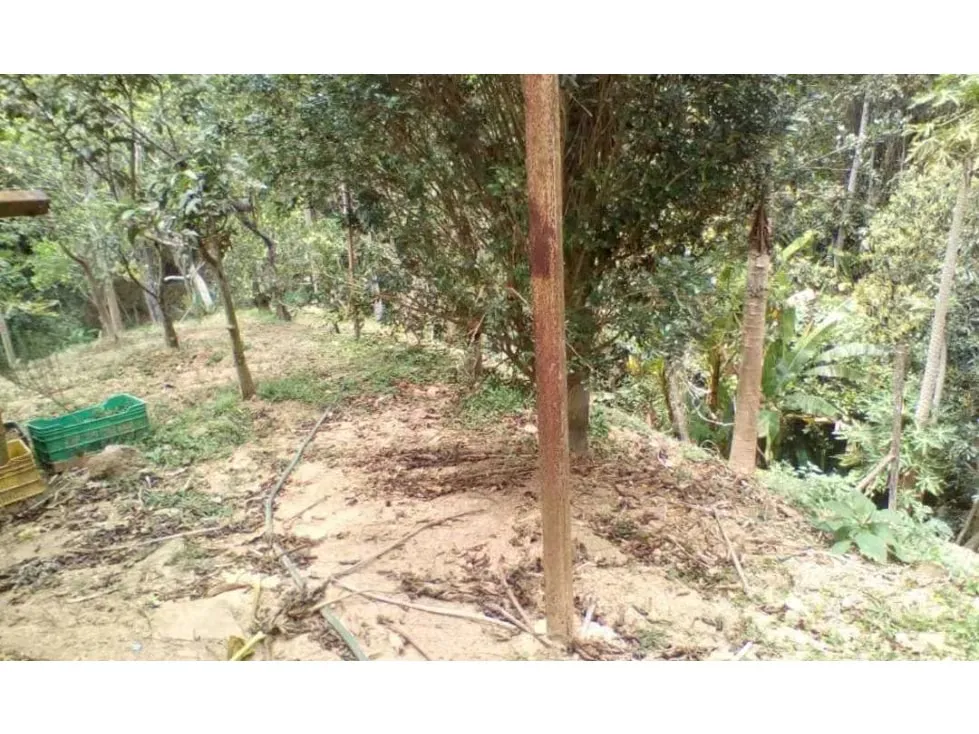 Vendo terreno 3.615m2 La Union-Sector Tusmare 8906 - 13