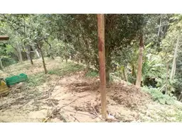 View 13