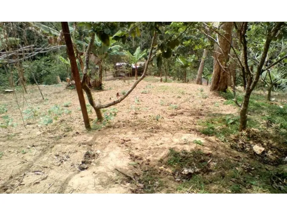 Vendo terreno 3.615m2 La Union-Sector Tusmare 8906 - 14