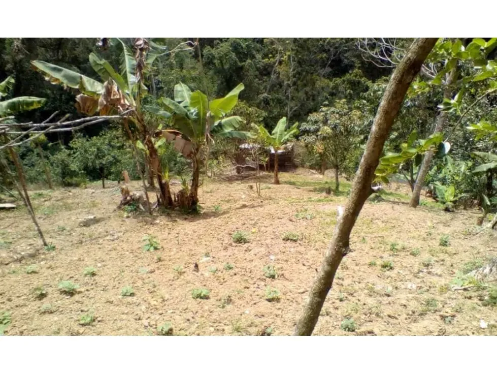 Vendo terreno 3.615m2 La Union-Sector Tusmare 8906 - 15