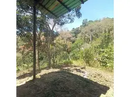 View 19