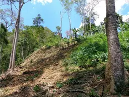 View 5