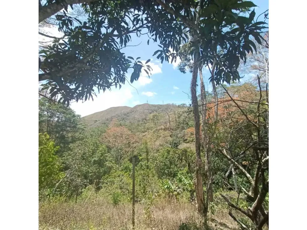 Vendo terreno 3.615m2 La Union-Sector Tusmare 8906 - 6