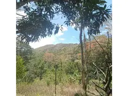 View 6