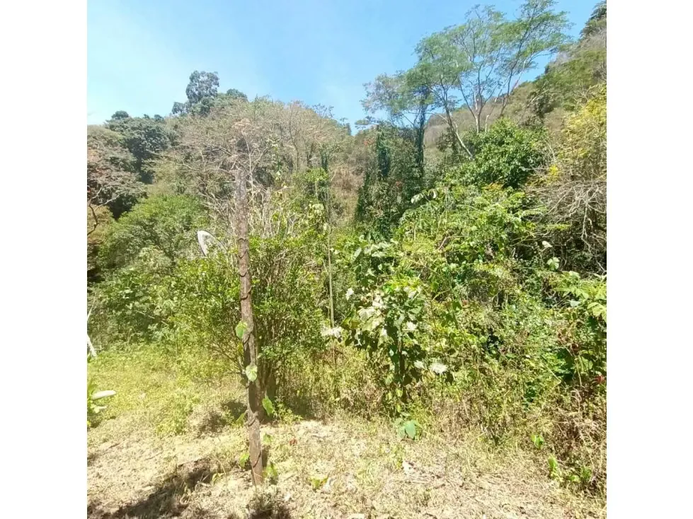 Vendo terreno 3.615m2 La Union-Sector Tusmare 8906 - 7