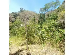 View 7