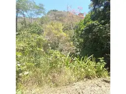 View 8