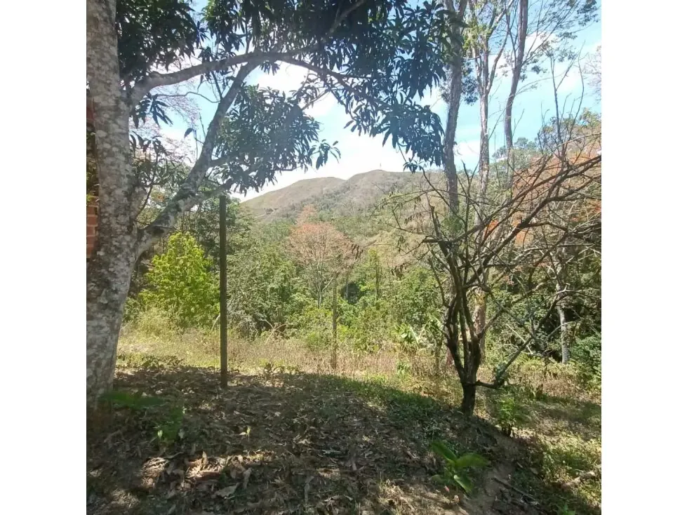 Vendo terreno 3.615m2 La Union-Sector Tusmare 8906 - 9