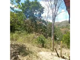 View 10
