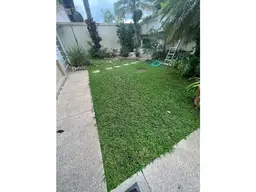 Vista 1