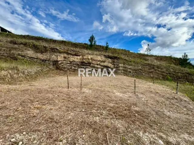 Terreno. Venta. Palo Gordo - 2