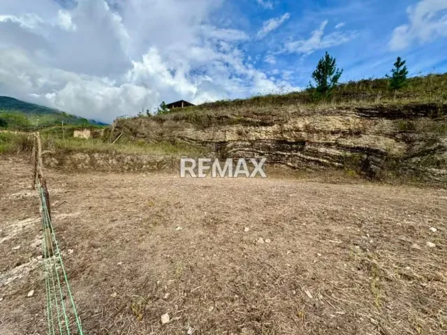 Terreno. Venta. Palo Gordo - 3